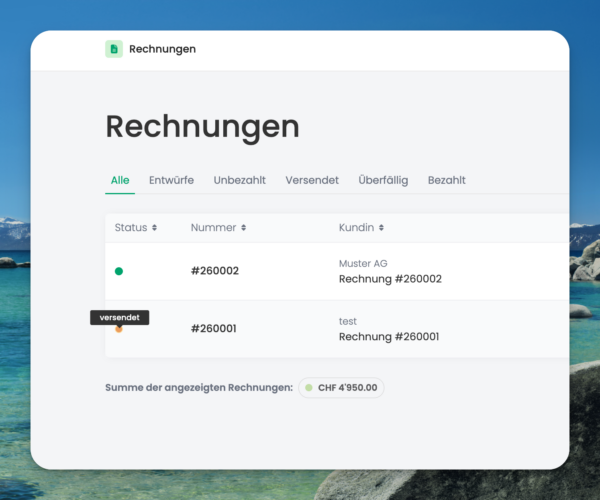 schweizer rechnungstool